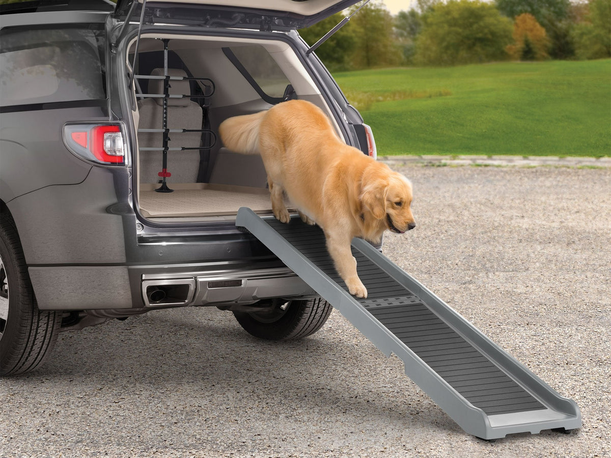 WeatherTech Tierrampe in Grau